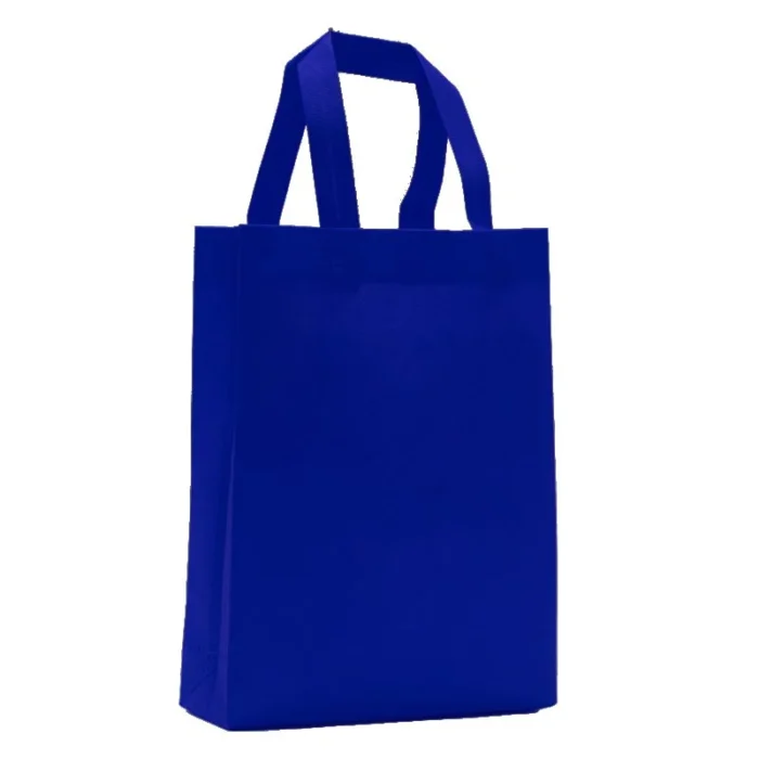 BOLSA DE NOTEX 25X30X8 - Imagen 2