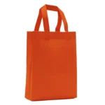 BOLSA DE NOTEX 25X30X8 - Imagen 5