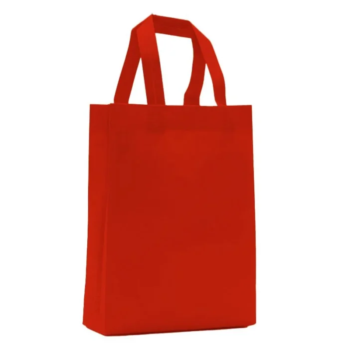 BOLSA DE NOTEX 25X30X8 - Imagen 6