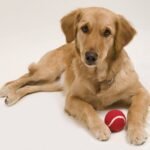 PELOTA NIKI - Imagen 5