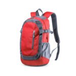 MOCHILA DENSUL - Imagen 3