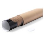 MAPA PALSY - Imagen 4