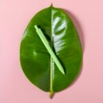 LAPICERO HARRY - Imagen 8