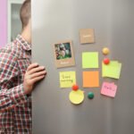 IMANTADO DASHIN - Imagen 5