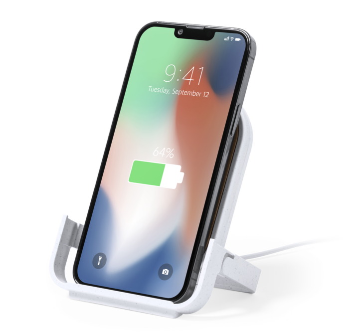 CARGADOR BUISSON - Imagen 15