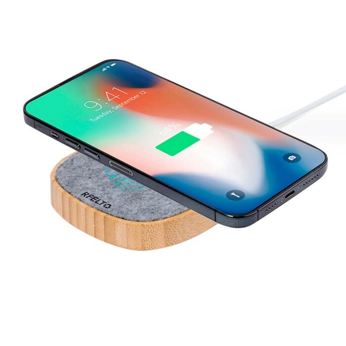 CARGADOR EMERSON - Imagen 3