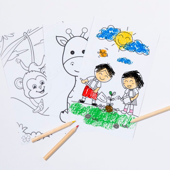 SET CLUMBER - Imagen 7