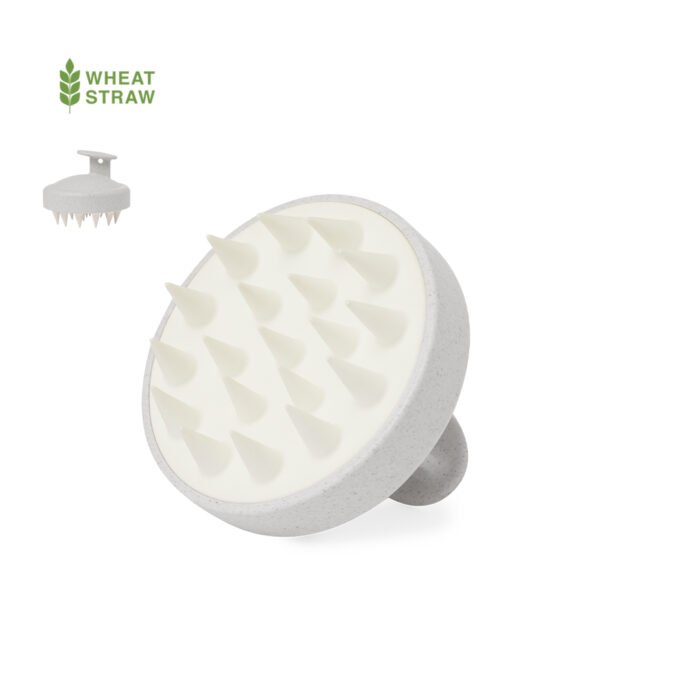 EMULSIONADOR NOCOTE - Imagen 2