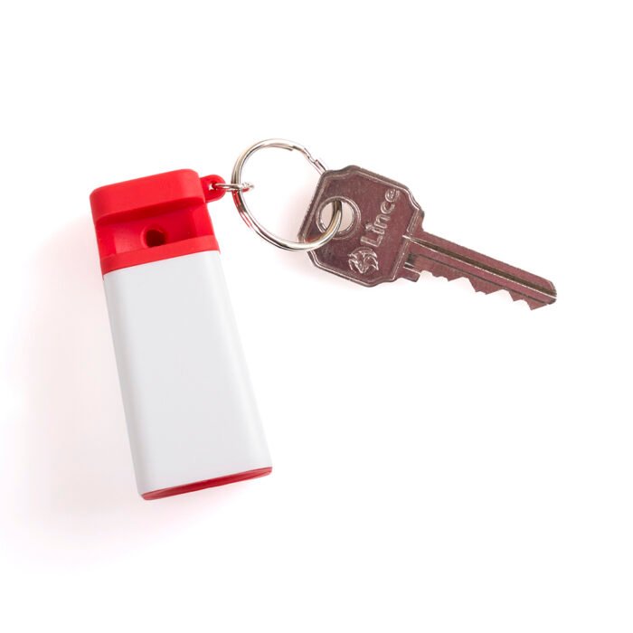 PARLANTE LLAVERO HOLYS - Imagen 11