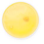 PARCHE CALOR KISON - Imagen 2