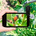 MICROSCOPIO DICSON 60X - Imagen 5